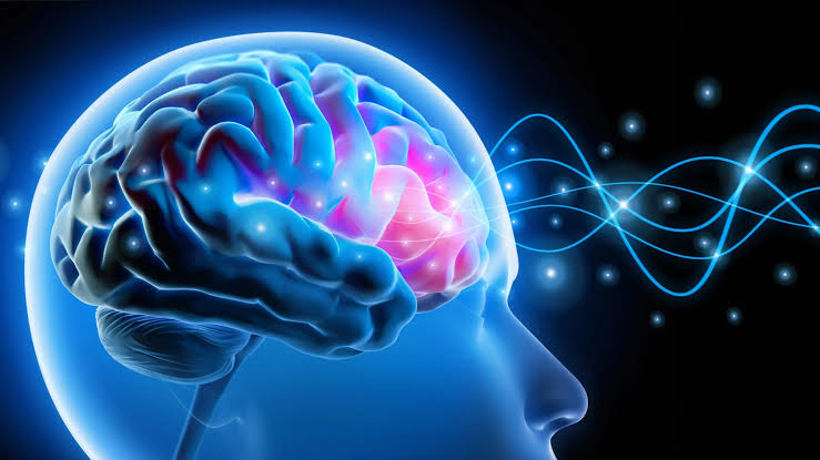 Illustration representing brain activity and cognitive function