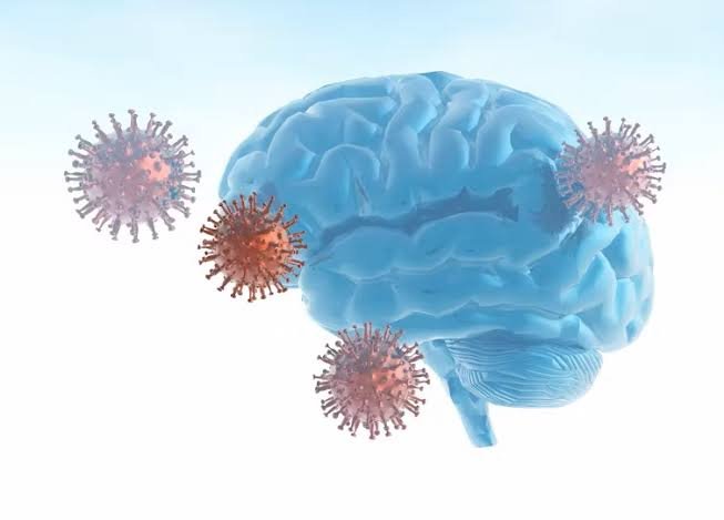 Blue brain model representing cognitive wellness and brain health