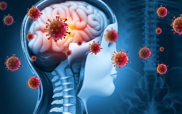 Profile illustration of a brain with a highlighted area suggesting inflammatory activity