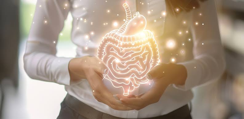 Hands cradling a glowing digestive system graphic